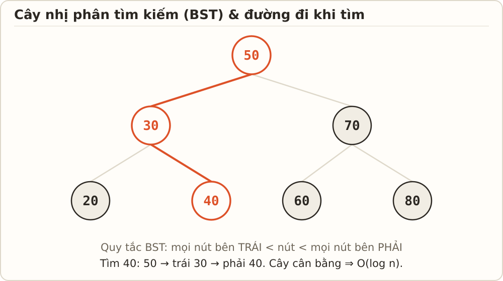 Cây nhị phân tìm kiếm với gốc 50, nhánh trái nhỏ hơn, nhánh phải lớn hơn; đường đi tìm giá trị 40 được tô màu coral.